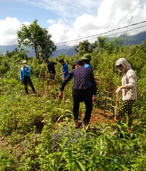 Hoạt động trồng dặm và chăm sóc cây hoa ban đầu năm học 2017-2018  của trường PTDTNT THPT huyện Mường Ảng